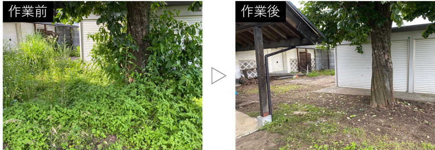 除草作業の一部のBefore After