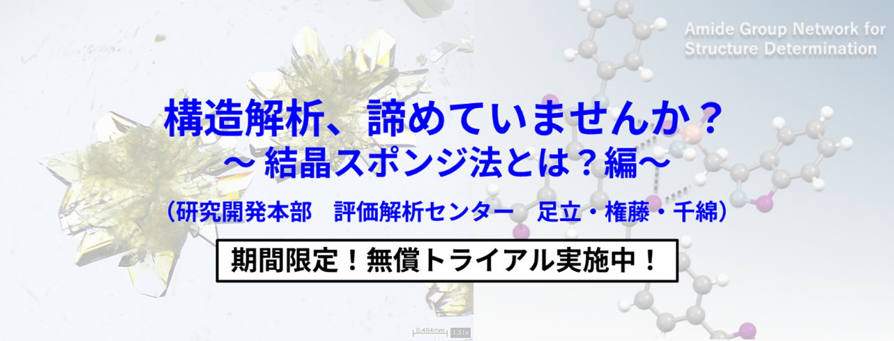 構造解析、諦めていませんか？～結晶スポンジ法とは？編～