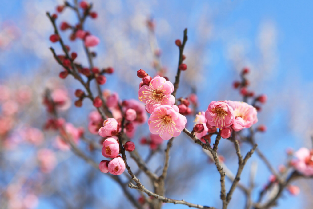 【出展/ランチョンセミナー 】日本農芸化学会2026年度京都大会